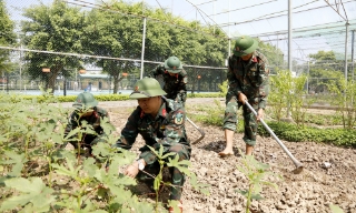 Tăng gia sản xuất, bảo đảm nguồn cung thực phẩm tại chỗ